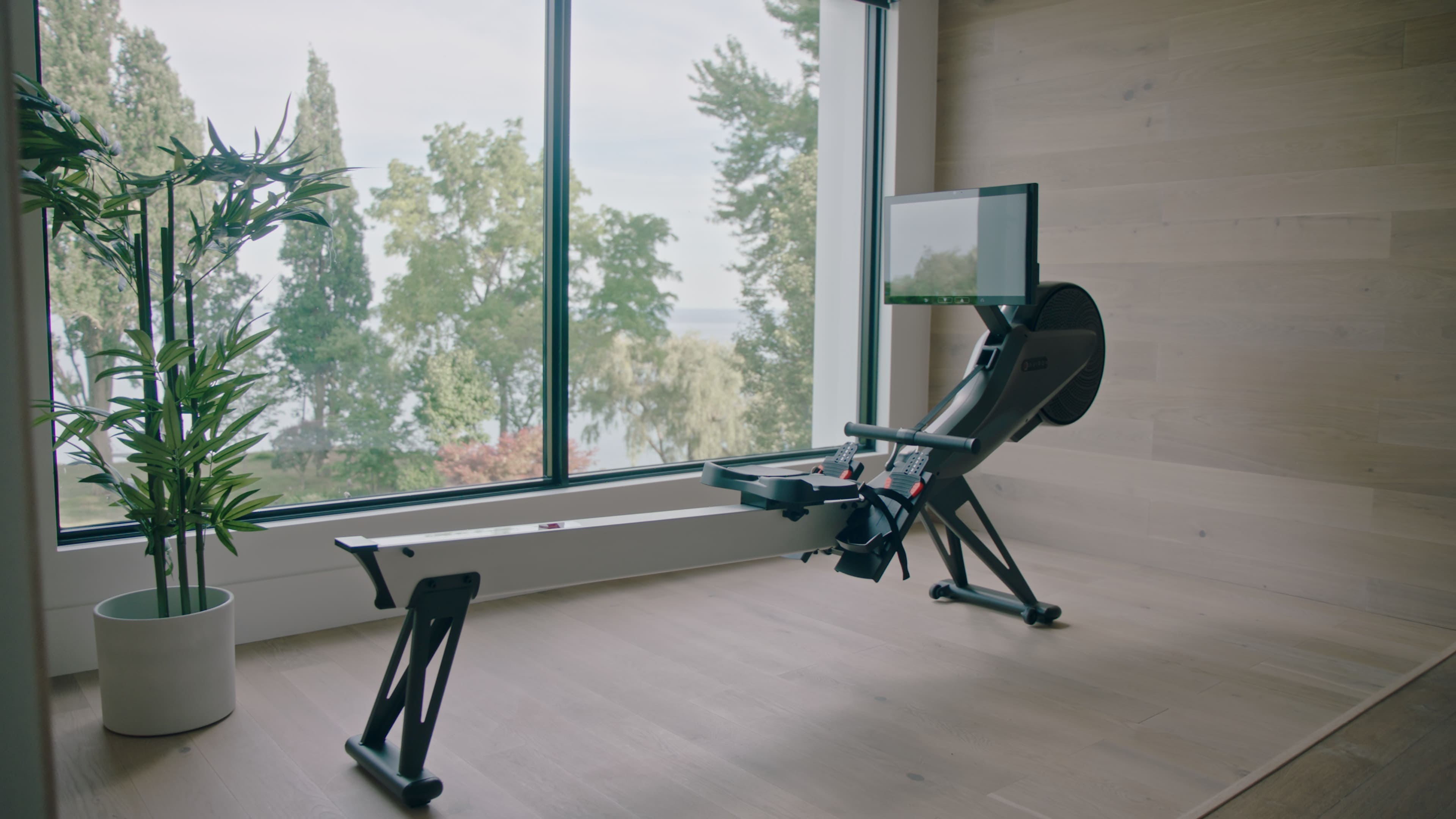 Aviron Impact review rower in front of a window